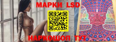 дмт Донской